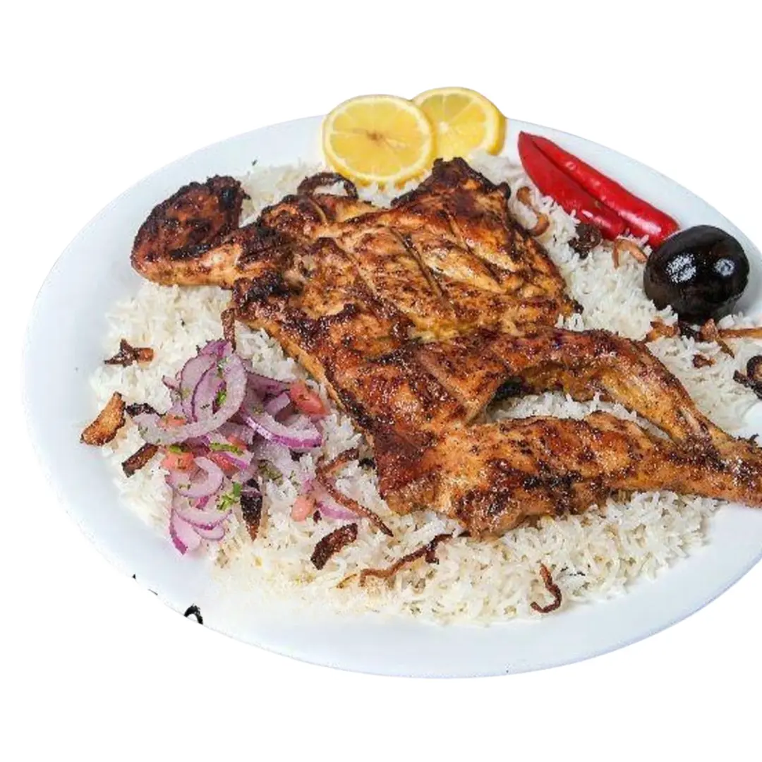 دجاج مظبي
